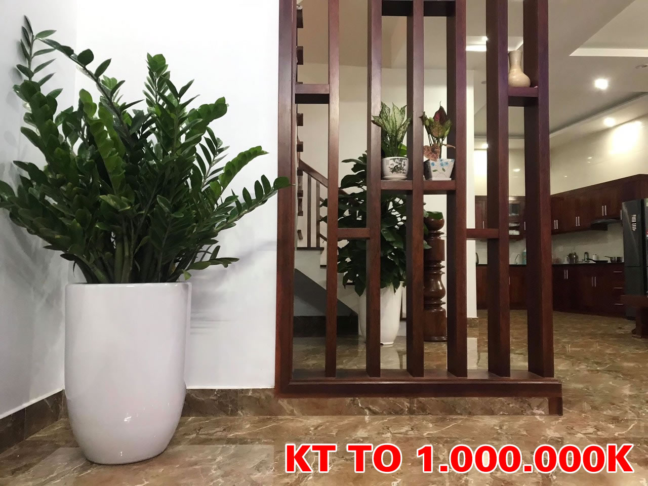 Cây kim ngân tiền phát tài khai trương